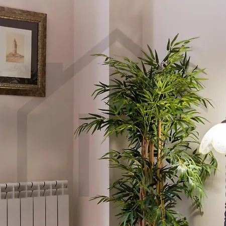 El Pixin - De Gran Categoria En Appartement